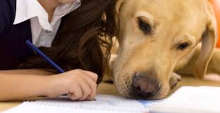 Photo 4 from ON ANGELS WINGS INC